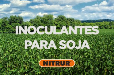 Inoculante para Soja Mejora la Producción y Calidad de tus Cultivos