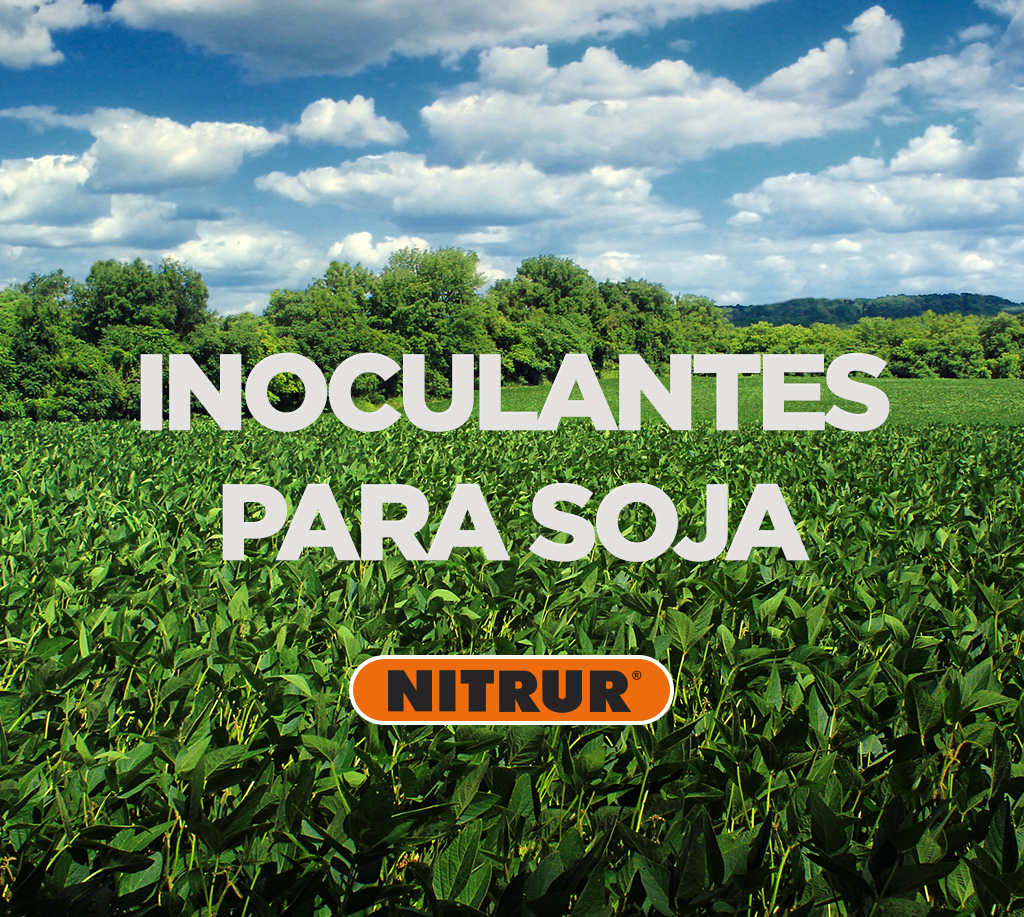 Inoculante Para Soja Nitrur Argentina 02